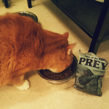 Photo of Taste of the Wild PREY Turkey Formula for Cats uploaded by Jennifer W.