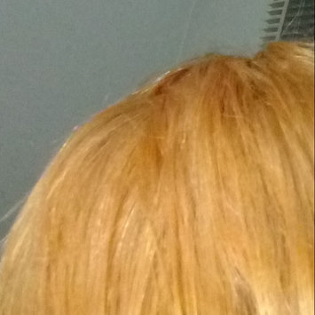 Photo of Clairol Professional BW2 Powder Lightener uploaded by Alex V.