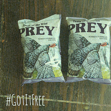 Photo of Taste of the Wild PREY Turkey Formula for Cats uploaded by Jackie P.
