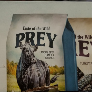 Photo of Taste of the Wild PREY Turkey Formula for Cats uploaded by Misty M.