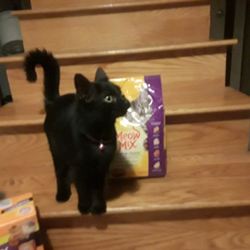 Photo of Meow Mix Adult Cat Food Original Mix 18 Pound Bag - Nestlé USA uploaded by Shannon C.