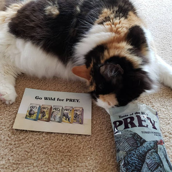 Photo of Taste of the Wild PREY Turkey Formula for Cats uploaded by Stef D.