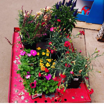 Photo of Lowe's Home Improvement Warehouse uploaded by Dalila C.