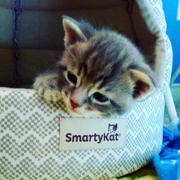Photo of PetLac Milk Powder for Puppies uploaded by Mandy B.