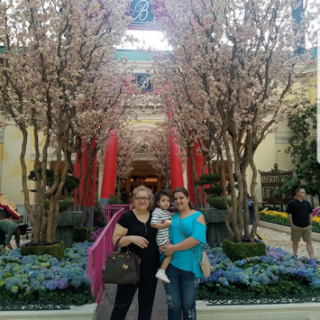 Photo of The Bellagio Hotel Las Vegas uploaded by miriam t.