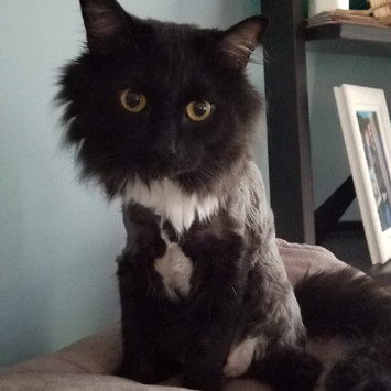 Photo of Wahl Pet Clipper Kit uploaded by Marissa B.