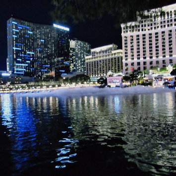 Photo of The Bellagio Hotel Las Vegas uploaded by Priyanka Y.