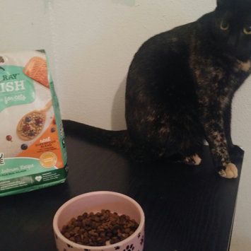 Photo of Nutrish Indoor Complete Chicken With Lentils & Salmon Recipe uploaded by Emily K.