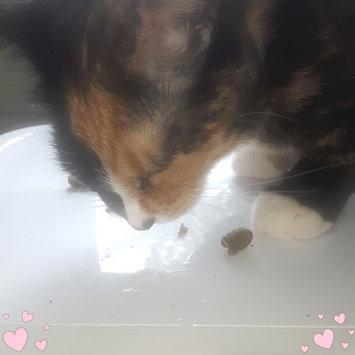 Photo of FELINE GREENIES™ Dental Treats Oven Roasted Chicken Flavor uploaded by Natasha A.