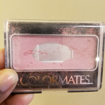 Photo of Colormates Blush & Brush Blushed Pack of 4 uploaded by Regina P.