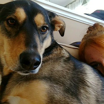 Photo of PetSmart uploaded by Mer W.