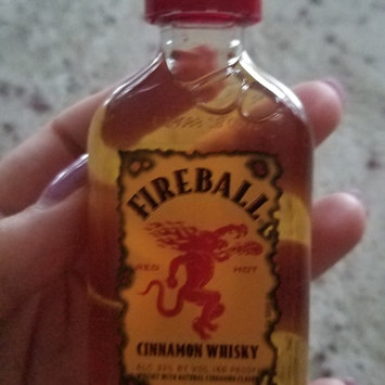 Photo of Fireball Cinnamon Whisky uploaded by Danielle M.