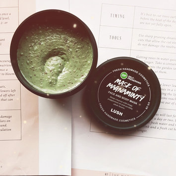 Photo of LUSH Mask of Magnaminty uploaded by savannah p.