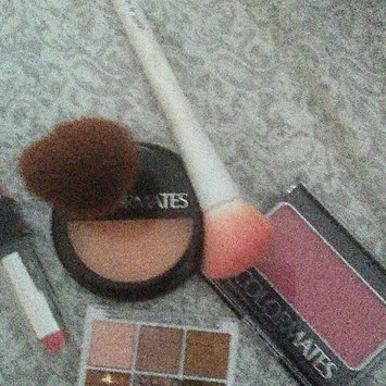 Photo of Colormates Blush & Brush Blushed Pack of 4 uploaded by Susan C.