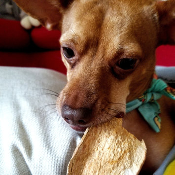 Photo of Ollie uploaded by brothers g.