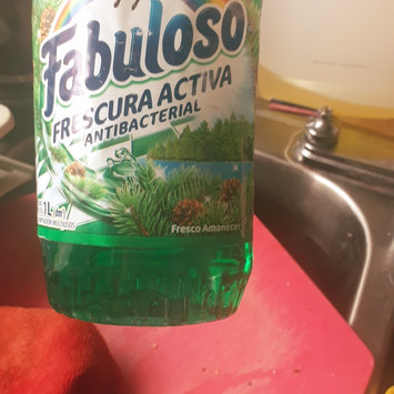 Photo of Fabuloso Multi-Purpose Cleaner uploaded by Daniela V.
