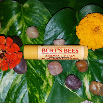 Photo of Burt's Bees Beeswax Lip Balm uploaded by marie A.