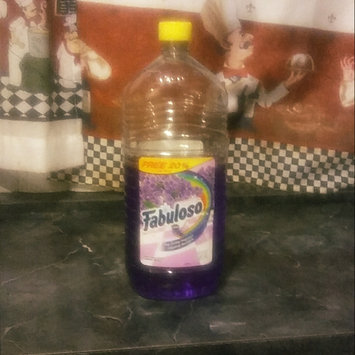 Photo of Fabuloso Multi-Purpose Cleaner uploaded by brittany j.