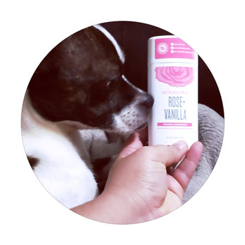 Photo of Schmidt's Natural Deodorant Fragrance Free 3.25 oz uploaded by Kimberly W.