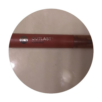 Photo of COVERGIRL Outlast Lip Stain uploaded by Susan M.
