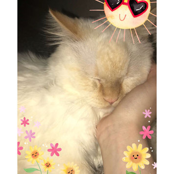 Photo uploaded to #NationalPetDay by Crystal G.