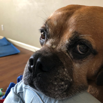 Photo uploaded to #NationalPetDay by Sarah C.