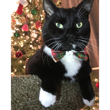 Photo uploaded to #NationalPetDay by Cierra D.