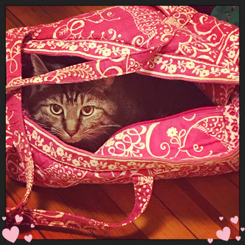 Photo uploaded to #NationalPetDay by Jillian M.
