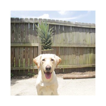 Photo uploaded to #NationalPetDay by estelle c.