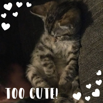 Photo uploaded to #NationalPetDay by Deysi L.