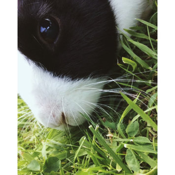 Photo uploaded to #NationalPetDay by Catherine E.