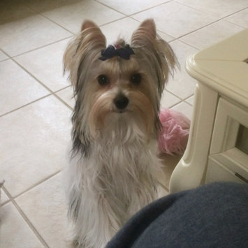 Photo uploaded to #NationalPetDay by Jan a.