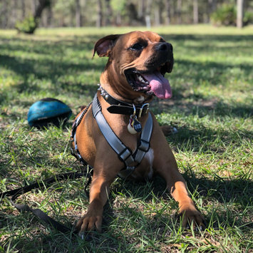 Photo uploaded to #NationalPetDay by Michelle P.