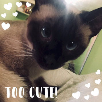 Photo uploaded to #NationalPetDay by Emilija P.