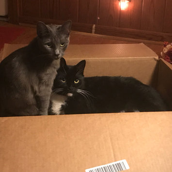 Photo uploaded to #NationalPetDay by Cassidy W.
