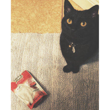Photo uploaded to #NationalPetDay by Dioni S.