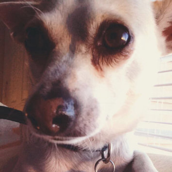 Photo uploaded to #NationalPetDay by Elizeth S.