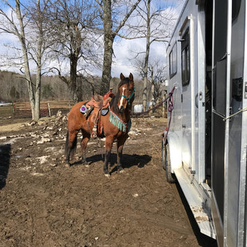 Photo uploaded to #NationalPetDay by Abbey M.