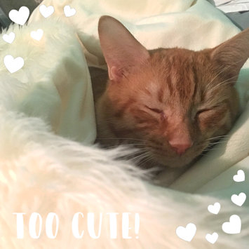 Photo uploaded to #NationalPetDay by Stephanie W.