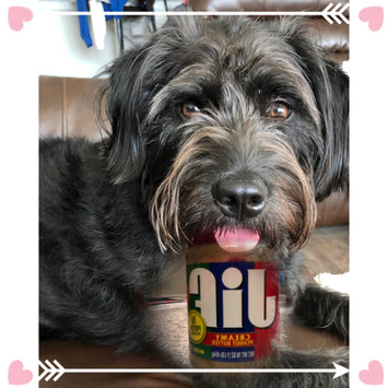 Photo uploaded to #NationalPetDay by Lindsay O.