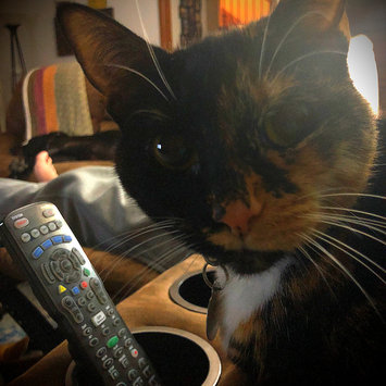 Photo uploaded to #NationalPetDay by Tami W.