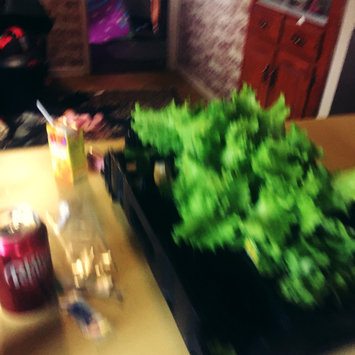 Photo uploaded to #InfluensterEats by Dana R.