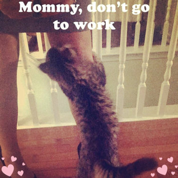 Photo uploaded to #FurryFriends by miss_amanda_r R.