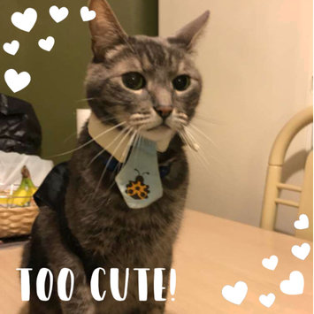 Photo uploaded to #FurryFriends by Allison Y.