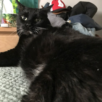 Photo uploaded to #FurryFriends by Cierra D.
