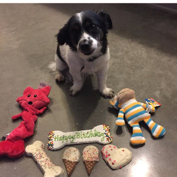 Photo uploaded to #FurryFriends by Jenny T.