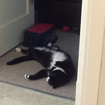 Photo uploaded to #FurryFriends by Beth W.