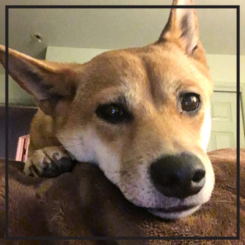 Photo uploaded to #FurryFriends by Lauren S.