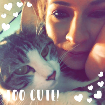 Photo uploaded to #FurryFriends by Stephanie P.