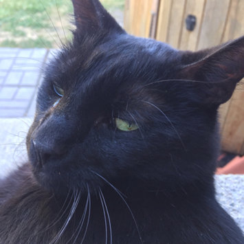 Photo uploaded to #FurryFriends by Michelle C.